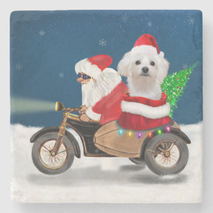 Maltese Dog Christmas Santa Claus  Stone Coaster