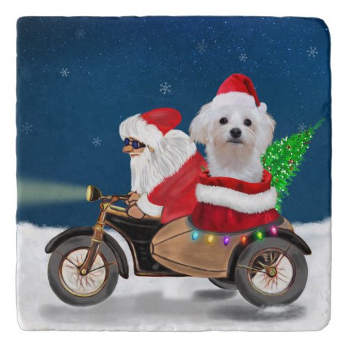 Maltese Dog Christmas Santa Claus  Trivet