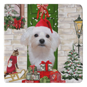 Maltese Dog Christmas  Trivet