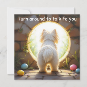 Maltese dog - Easter Holiday Card