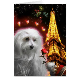 Maltese Dog Eiffel Tower IN LOVE AGAIN Cards
