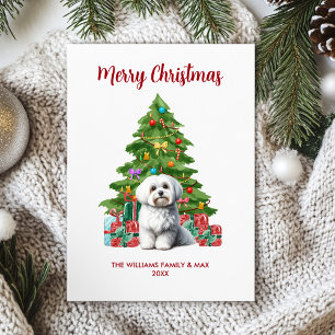Maltese Dog Family Christmas Holiday Card