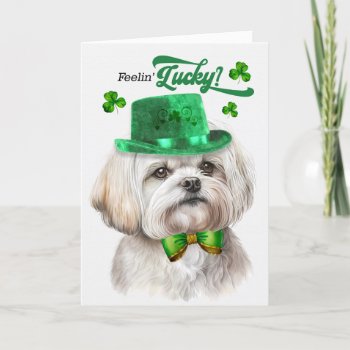 Maltese Dog Feelin' Lucky St Patrick's Day Holiday Card by PAWSitivelyPETs at Zazzle