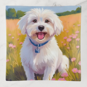 Maltese Dog Flower Field Painting Trinket Tray