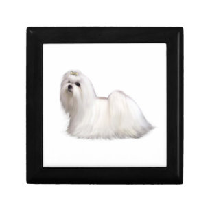Maltese Dog Gift Box