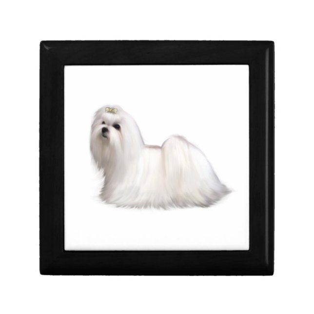 Maltese Dog Gift Box (Front)