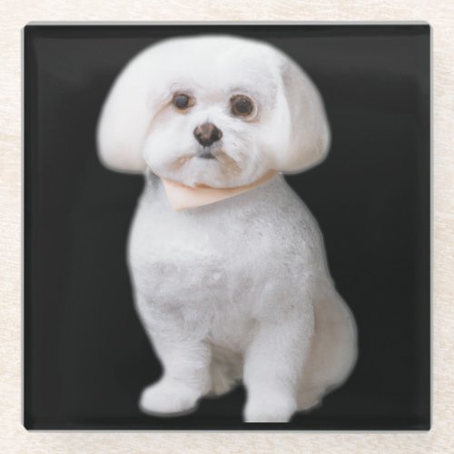 Maltese Dog Glass Coaster