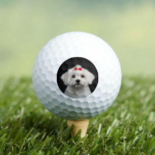 Maltese Dog Golf Balls, Cute Puppy, Black Style Balls