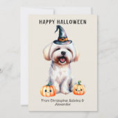 Maltese Dog Happy Halloween Holiday Card (Front)