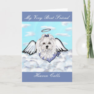Maltese Dog Holiday Card