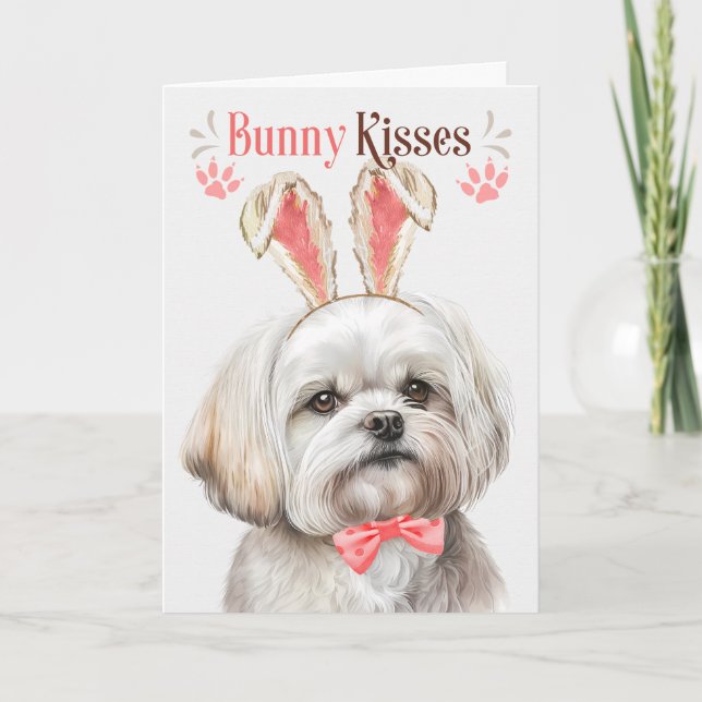 Maltese Dog in Bunny Ears for Easter Holiday Card (Front)