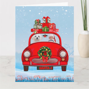 Maltese Dog In Car With Santa Claus Card