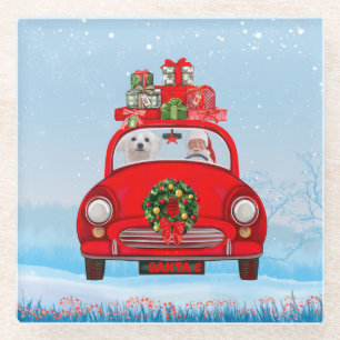 Maltese Dog In Car With Santa Claus Glass Coaster