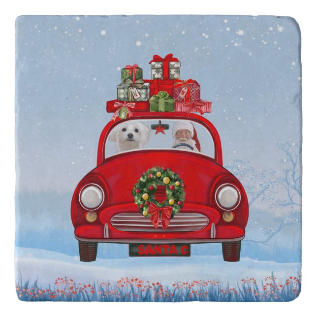 Maltese Dog In Car With Santa Claus  Trivet (Front)