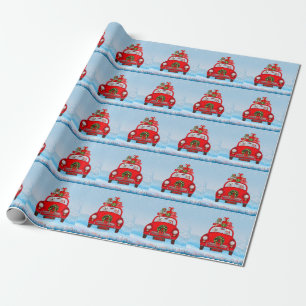 Maltese Dog In Car With Santa Claus Wrapping Paper