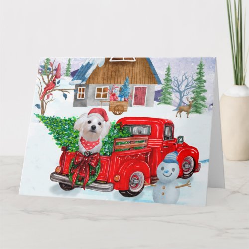 Maltese Dog In Christmas Delivery Truck Snow Card