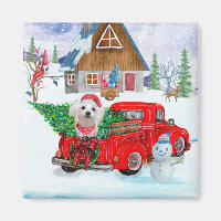 Maltese Dog In Christmas Delivery Truck Snow