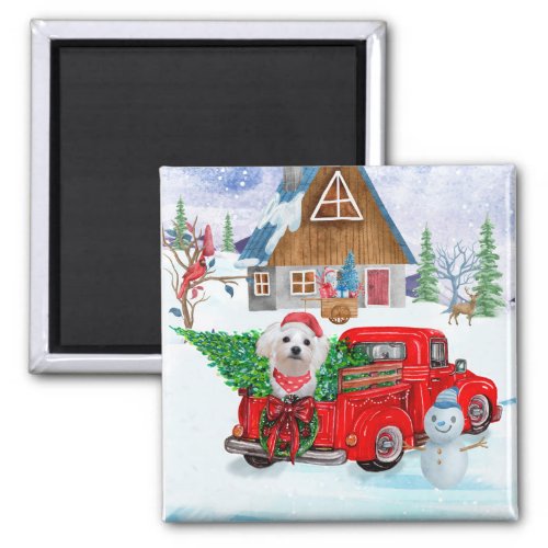 Maltese Dog In Christmas Delivery Truck Snow  Magnet