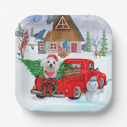 Maltese Dog In Christmas Delivery Truck Snow Paper Plates