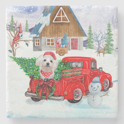 Maltese Dog In Christmas Delivery Truck Snow Stone Coaster
