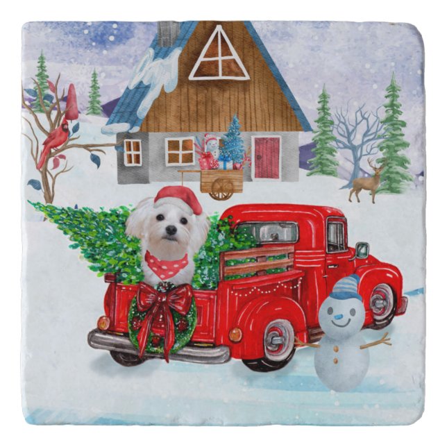 Maltese Dog In Christmas Delivery Truck Snow Trivet (Front)