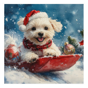 Maltese Dog in Sledge Let it Snow Christmas Acrylic Print