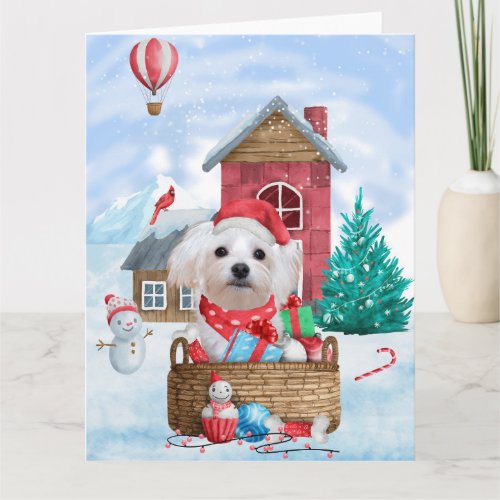 Maltese Dog In snow Christmas Dog House  Card