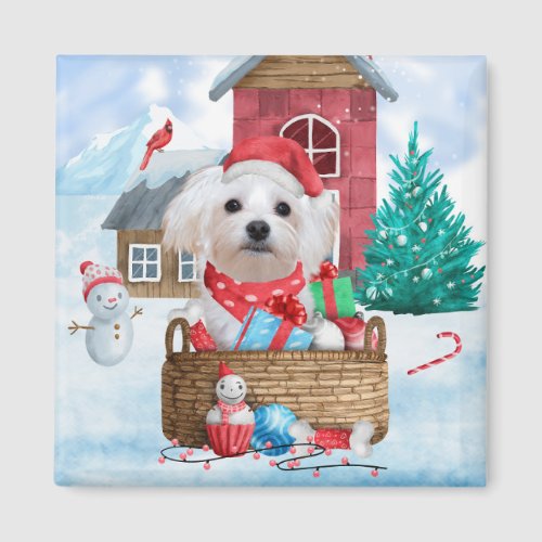 Maltese Dog In snow Christmas Dog House Magnet