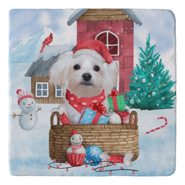 Maltese Dog In snow Christmas Dog House Trivet (Front)
