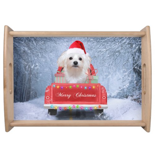 Maltese Dog in Snow sitting in Christmas Truck Car Serving Tray
