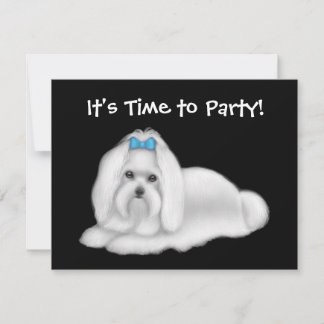 Maltese Dog Invitation
