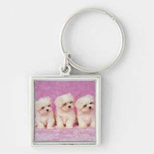 Maltese Dog; is a small breed of white dog that Keychain