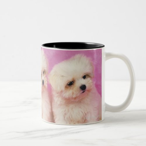 Maltese Dog is a small breed of white dog that Two_Tone Coffee Mug