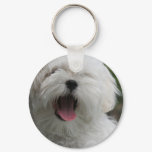 Maltese Dog Keychain