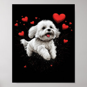 Maltese Dog Love Heart For Valentines Day Maltese  Poster