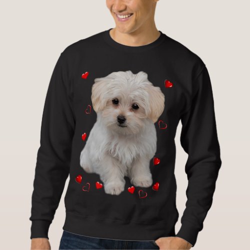 Maltese Dog Lover Dogs Puppies Owners Design Sweatshirt