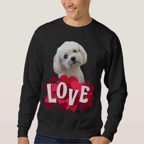 Maltese Dog Lover Puppy Owner Maltipoo Mix Fans He Sweatshirt