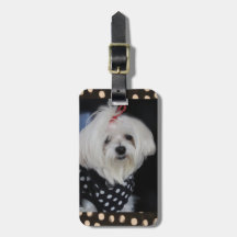 Maltese Dog Luggage Tag