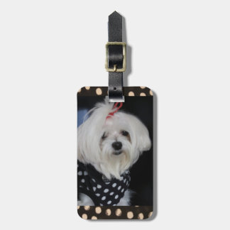 Maltese Dog Luggage Tag