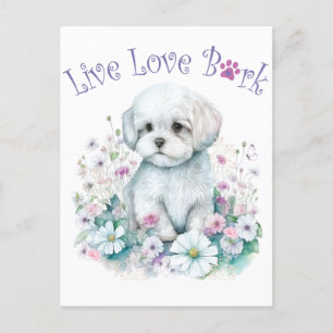 Maltese Dog Mom Floral Postcard