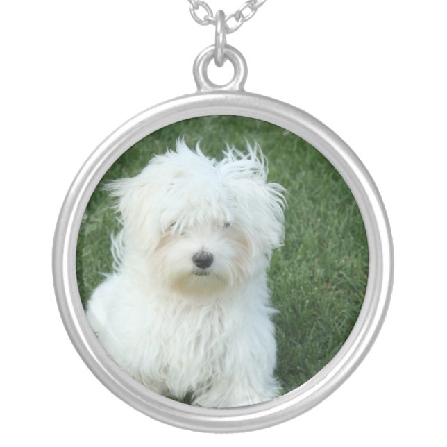Maltese Dog Necklace (Front)