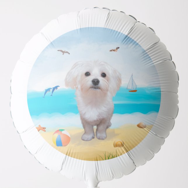 Maltese Dog on Beach Balloon (Front)