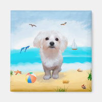 Maltese Dog on Beach