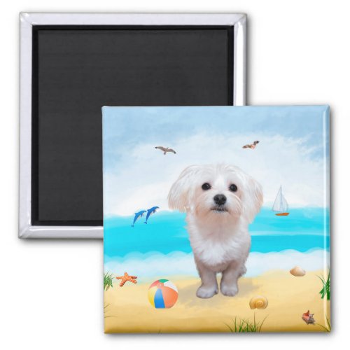 Maltese Dog on Beach  Magnet