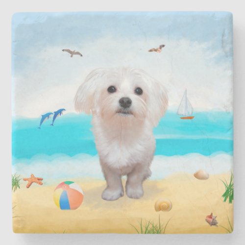 Maltese Dog on Beach Stone Coaster