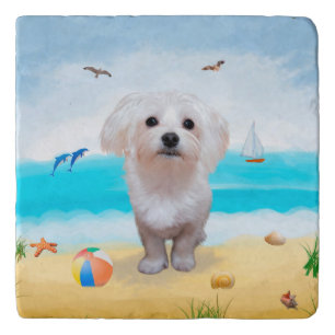 Maltese Dog on Beach Trivet