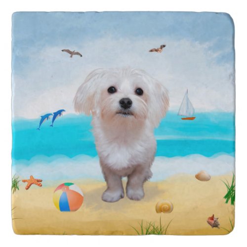 Maltese Dog on Beach Trivet