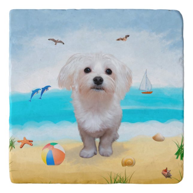 Maltese Dog on Beach Trivet (Front)