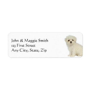 Maltese  Dog Pet Animal Label