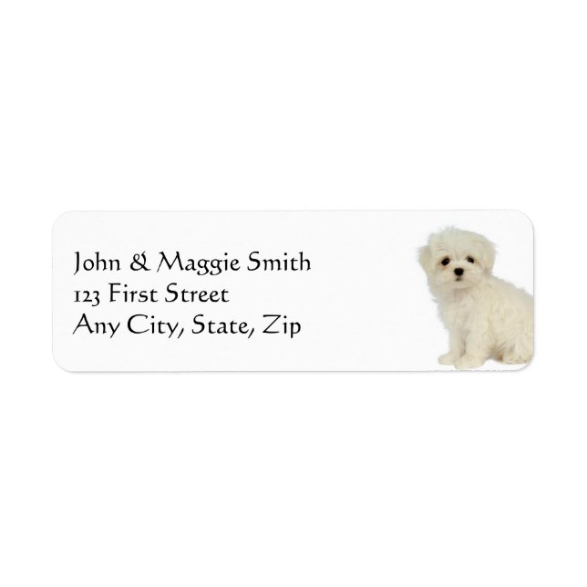 Maltese  Dog Pet Animal Label (Front)